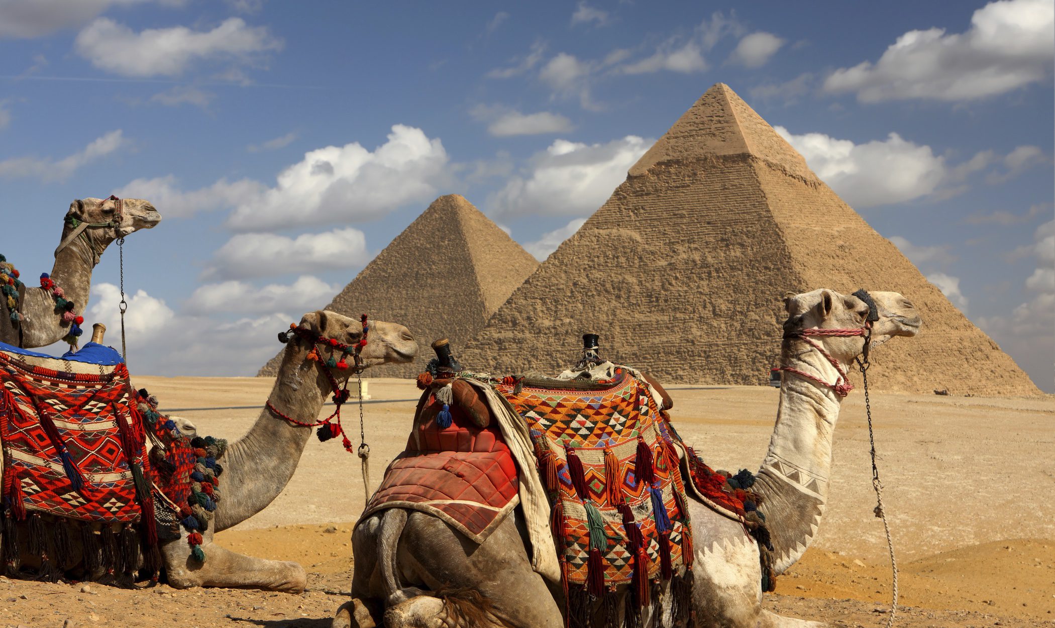 Navidades en Egipto